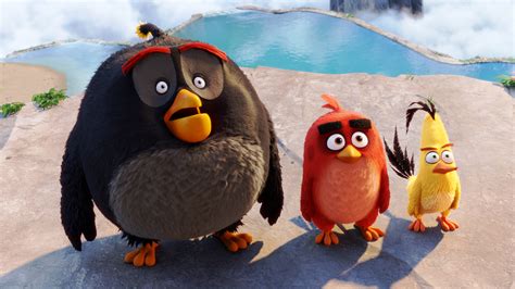 angry birds chuck and red